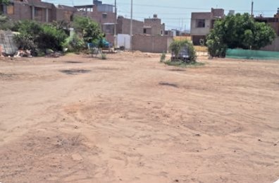 Ladera intervenida — Antes