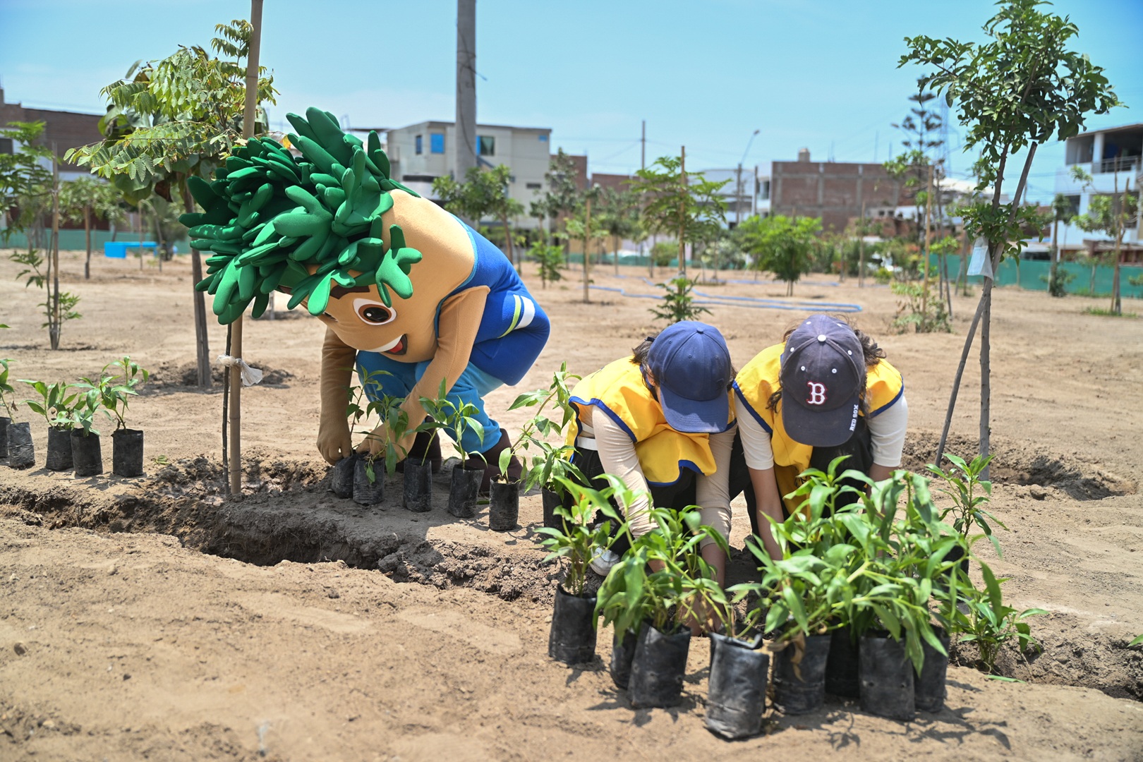 Ladera intervenida — Durante
