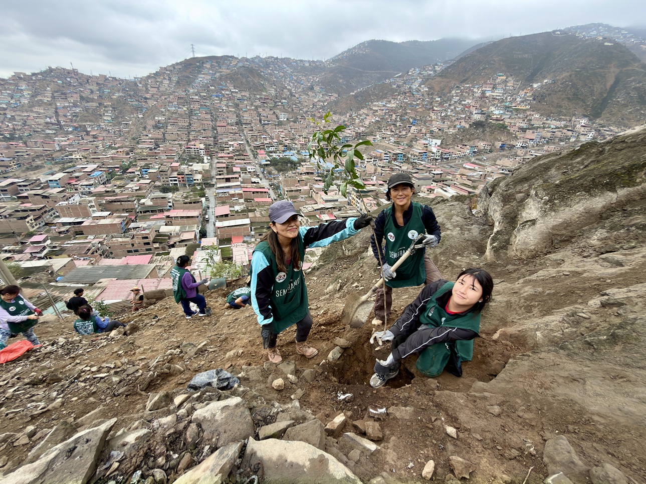 Voluntarias plantan un árbol en una ladera sobre la ciudad